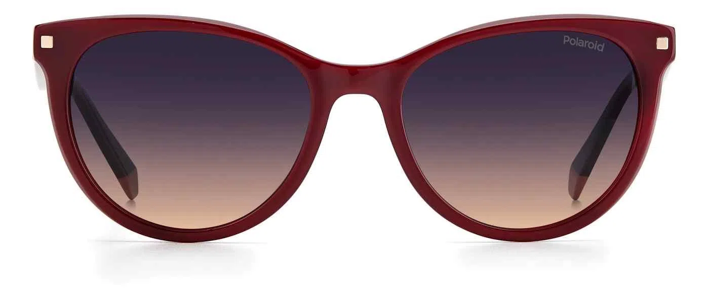 Polaroid Core Polaroid4111 Sunglasses - view 15
